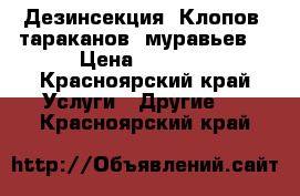 Дезинсекция. Клопов, тараканов, муравьев. › Цена ­ 1 000 - Красноярский край Услуги » Другие   . Красноярский край